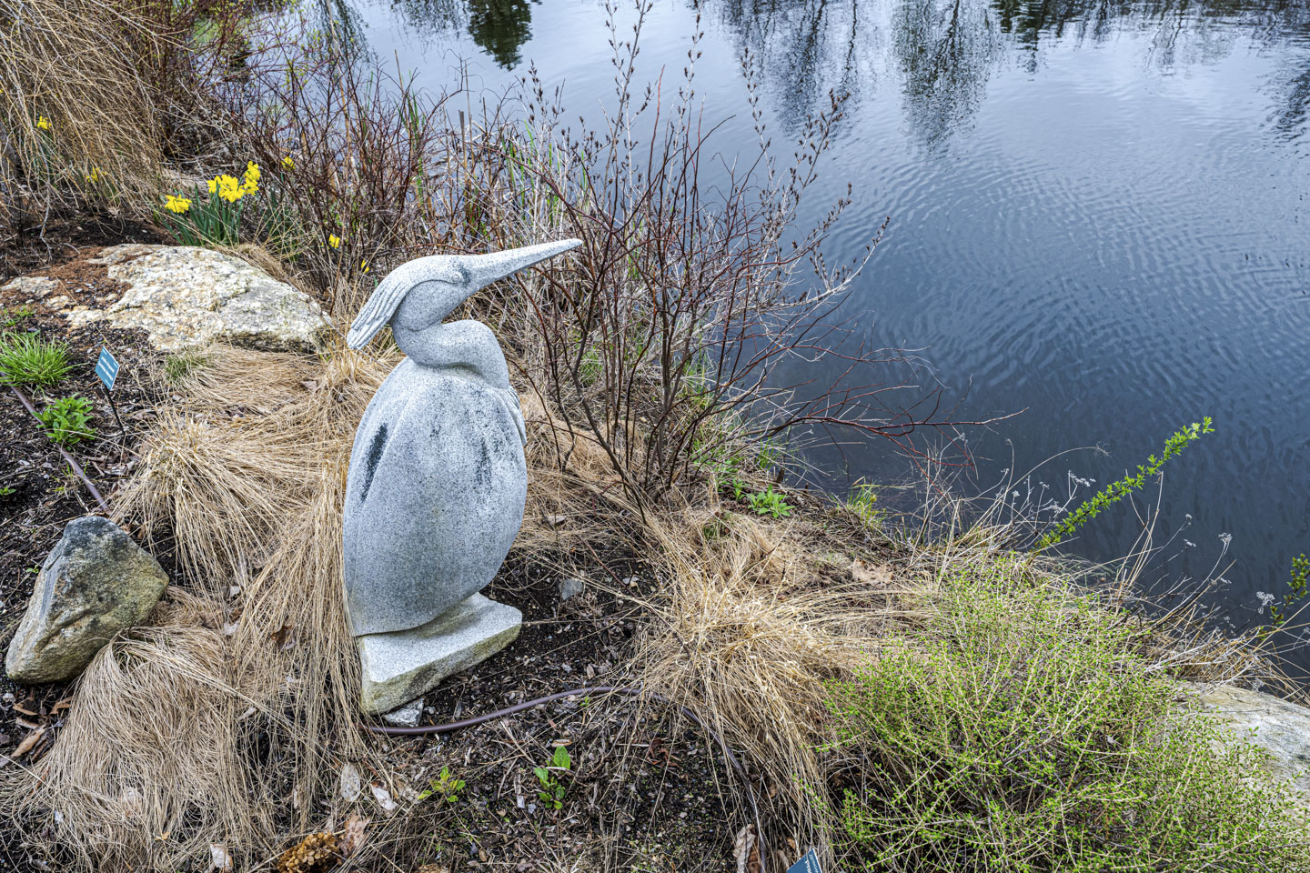 Looking down on a statue of a Heron that is positioned next to a pond