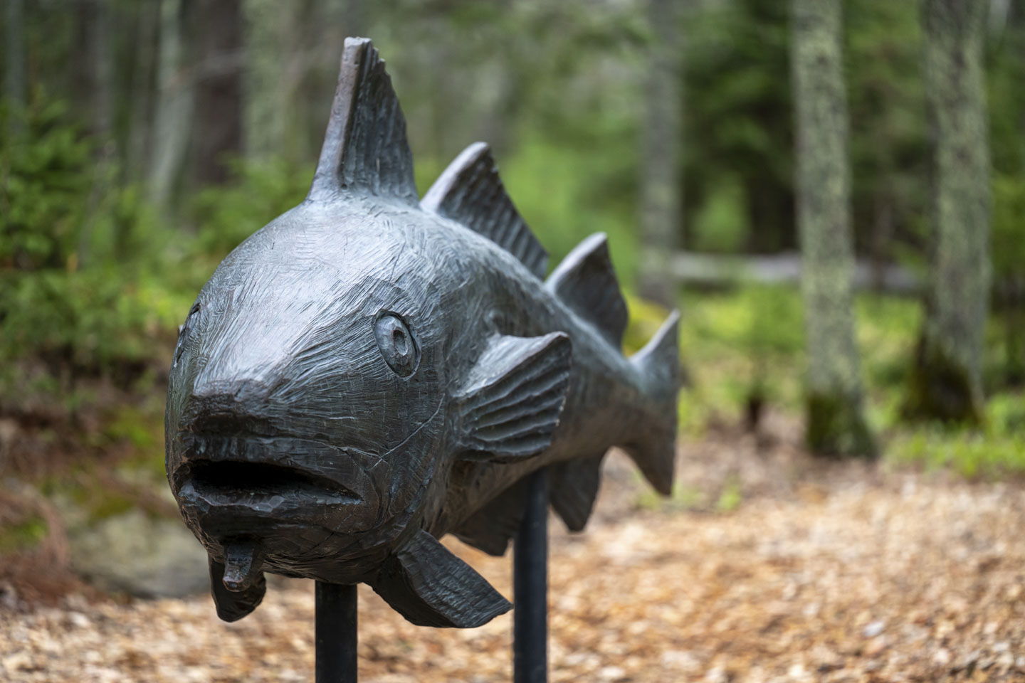 A statue of a fish in the woods