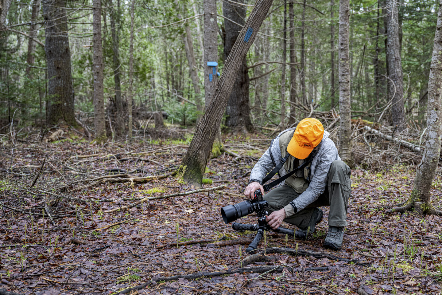 Anne is crouched down in the woods with her camera on a short tripod.