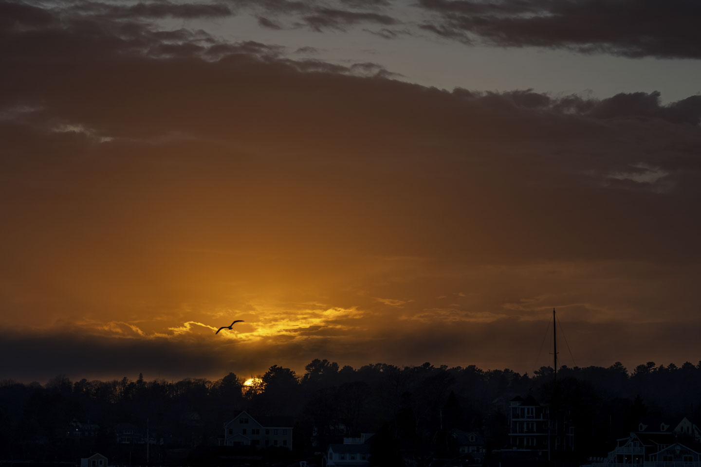 A bird and the mast of a sailing ship can be seen against an orange sky.