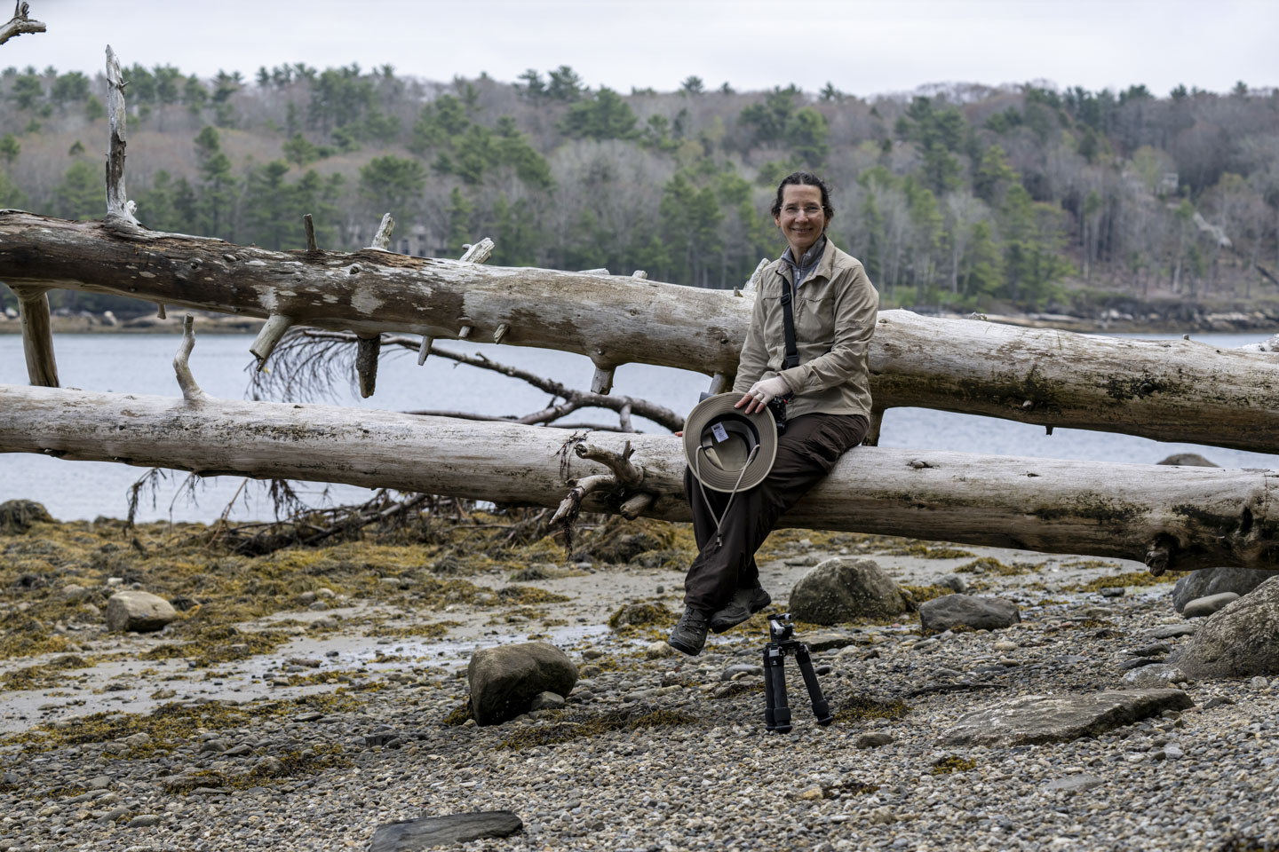 Anne sits on a horizontal dead tree that is suspended over a pebble beach. 