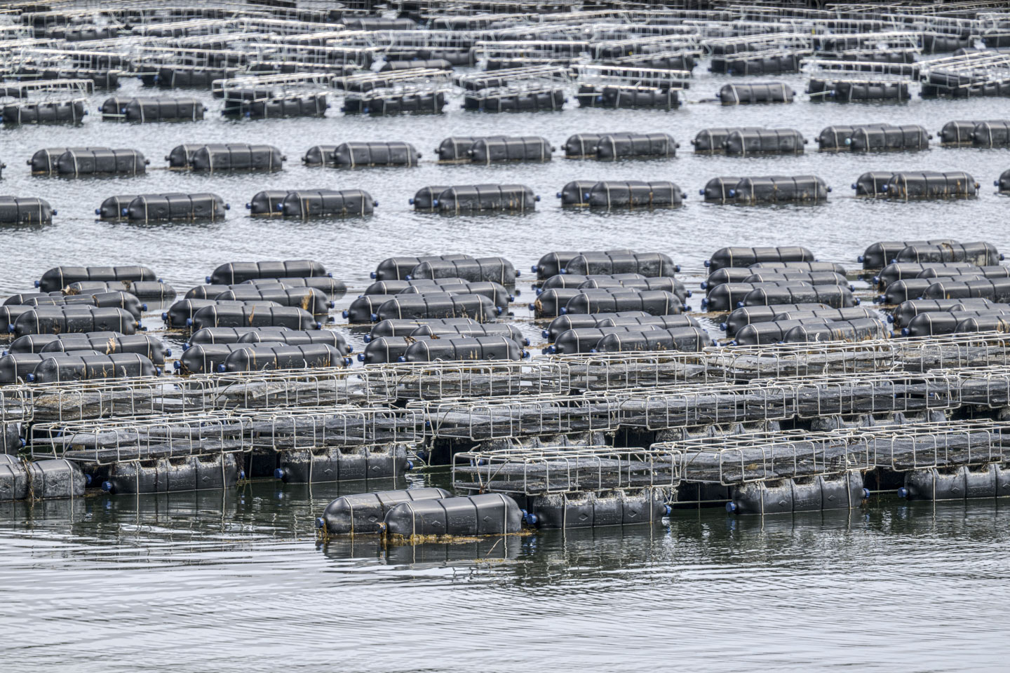 Some of the floats have cages with netting inside.