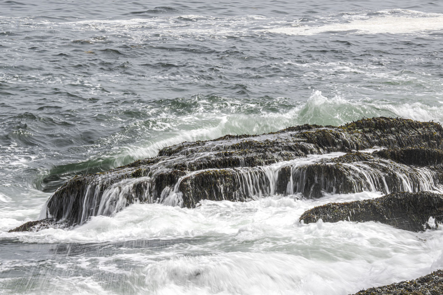 Water pours over a seaweed covered rock, with another wave immediately behind it.