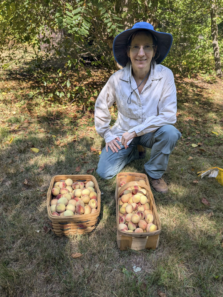 Anne is kneeling next two 2 wicker baskets that are full of peaches.