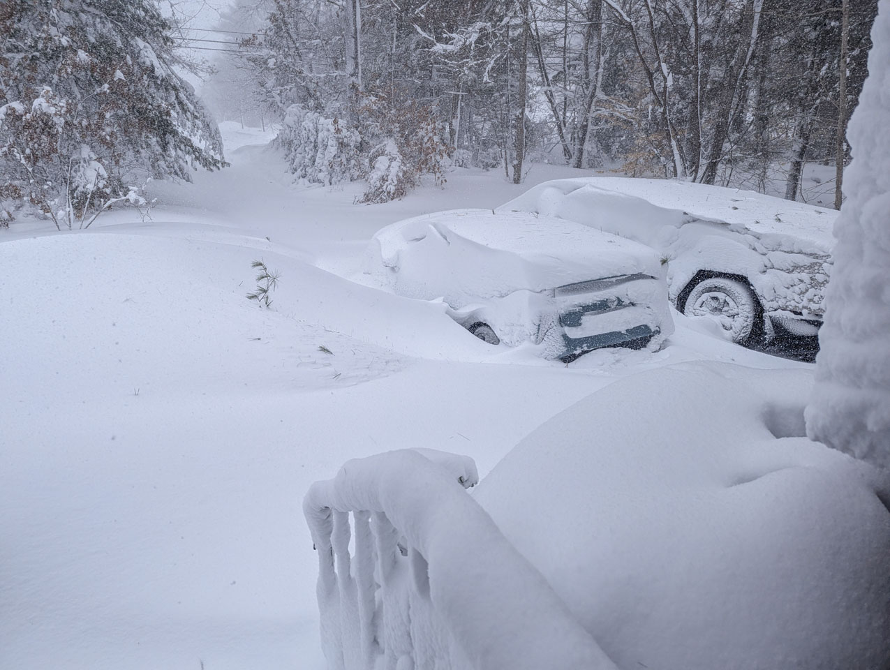 Picture of lots of snow that is also a link