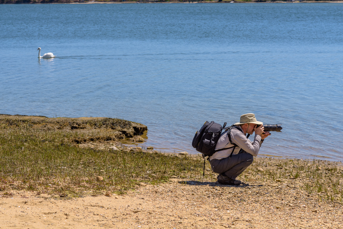 Paul taking a photo with a Mute Swan in the background