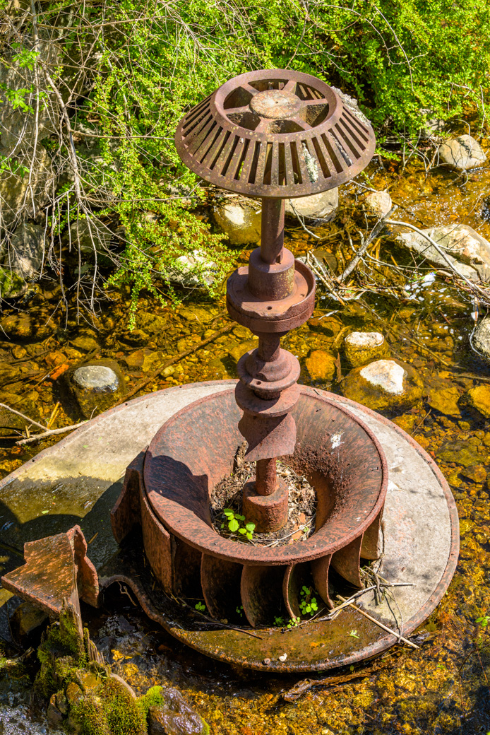 Old gear in the waterway at Carter Beal Conservation Area