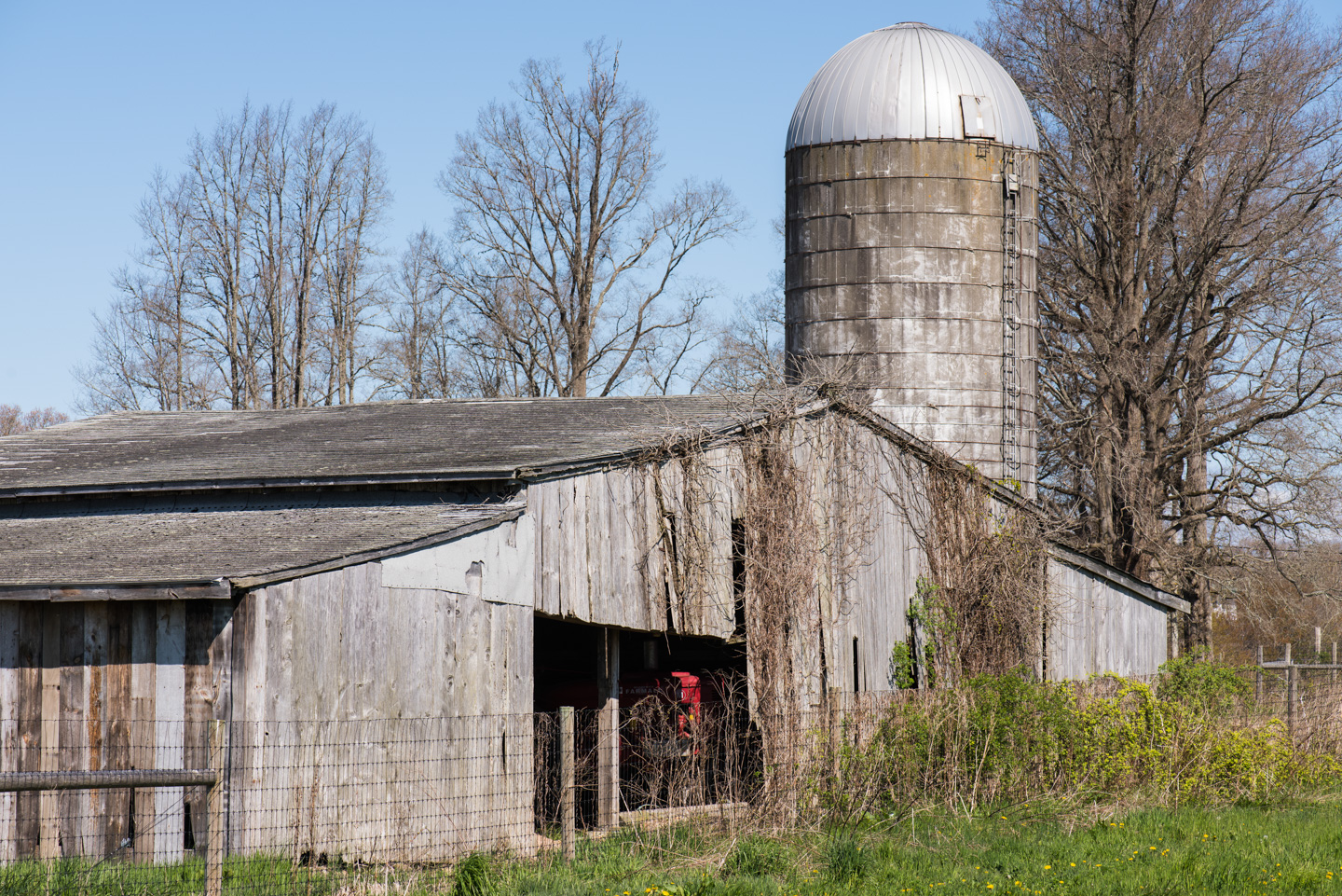 Barn at Ocean View Farm Reserve in the working farm section