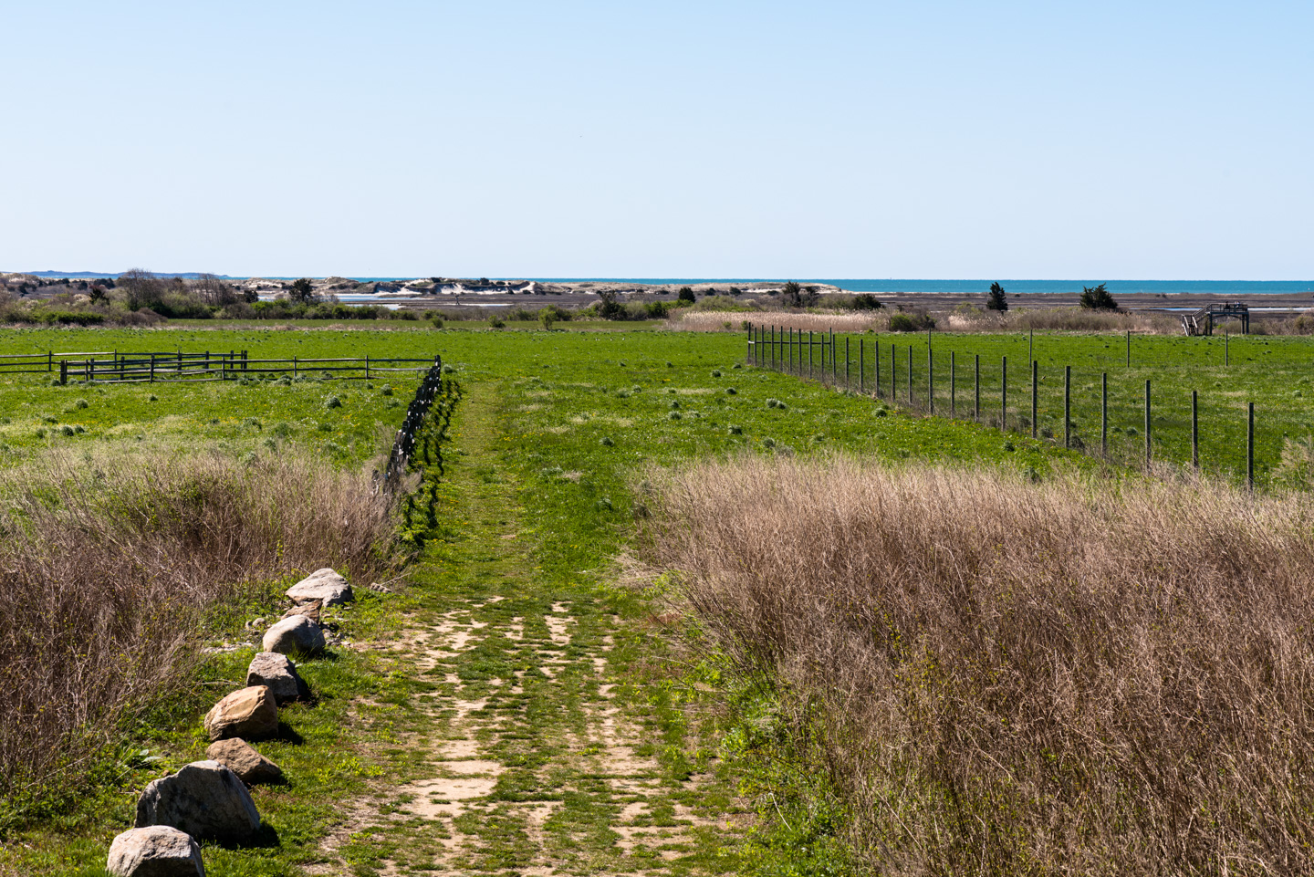 View down access path of Ocean View Farm Reserve