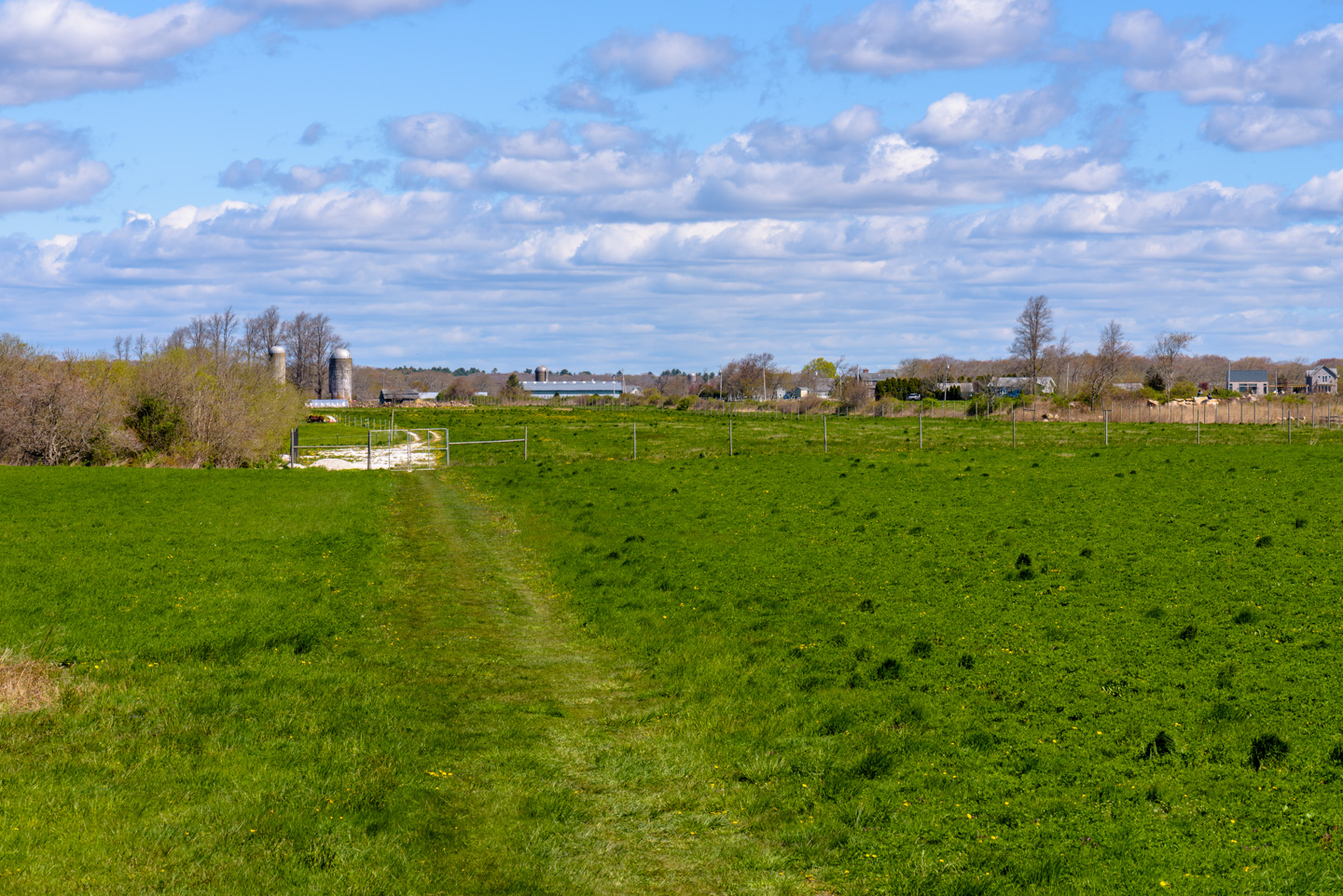 View of Ocean View Farm from the ocean side