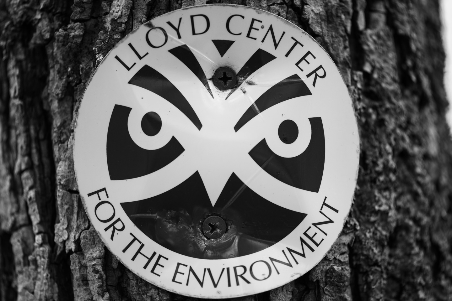 A tree with a metal circle that has the Lloyd Center symbol on it