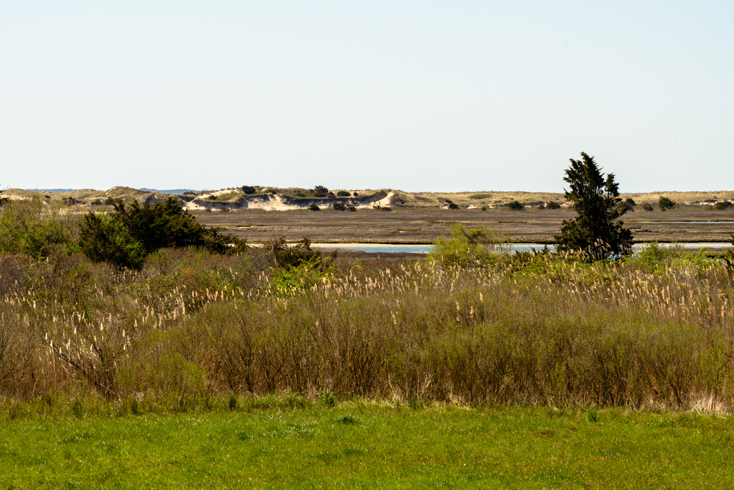 View down access path of Ocean View Farm Reserve