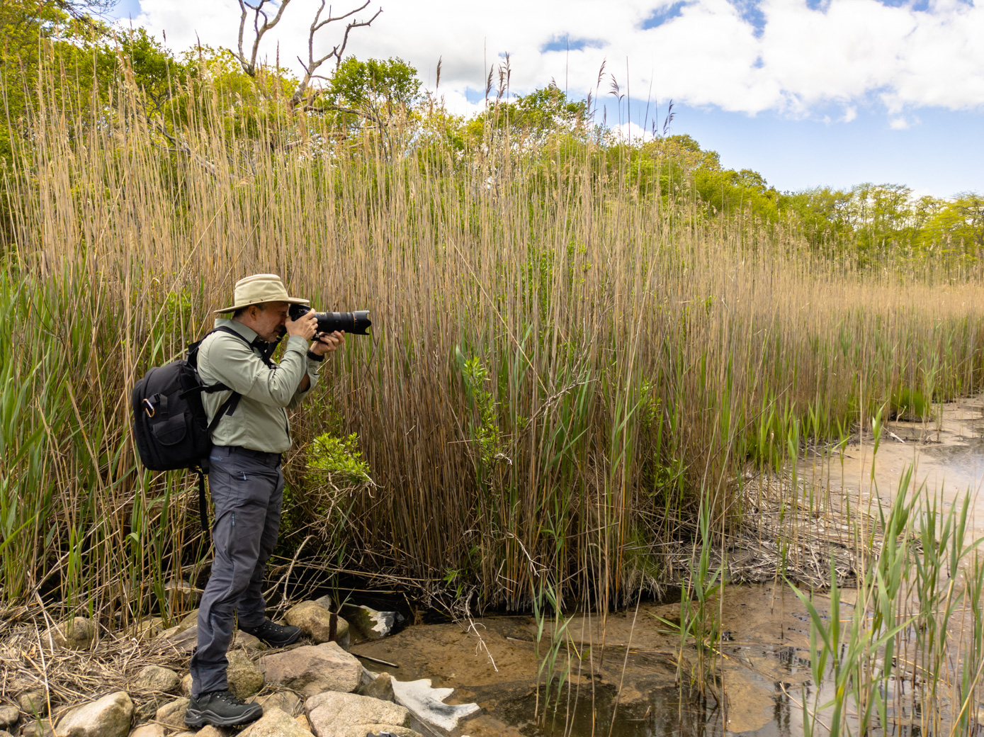 Paul taking a picture with marsh grasses behind him