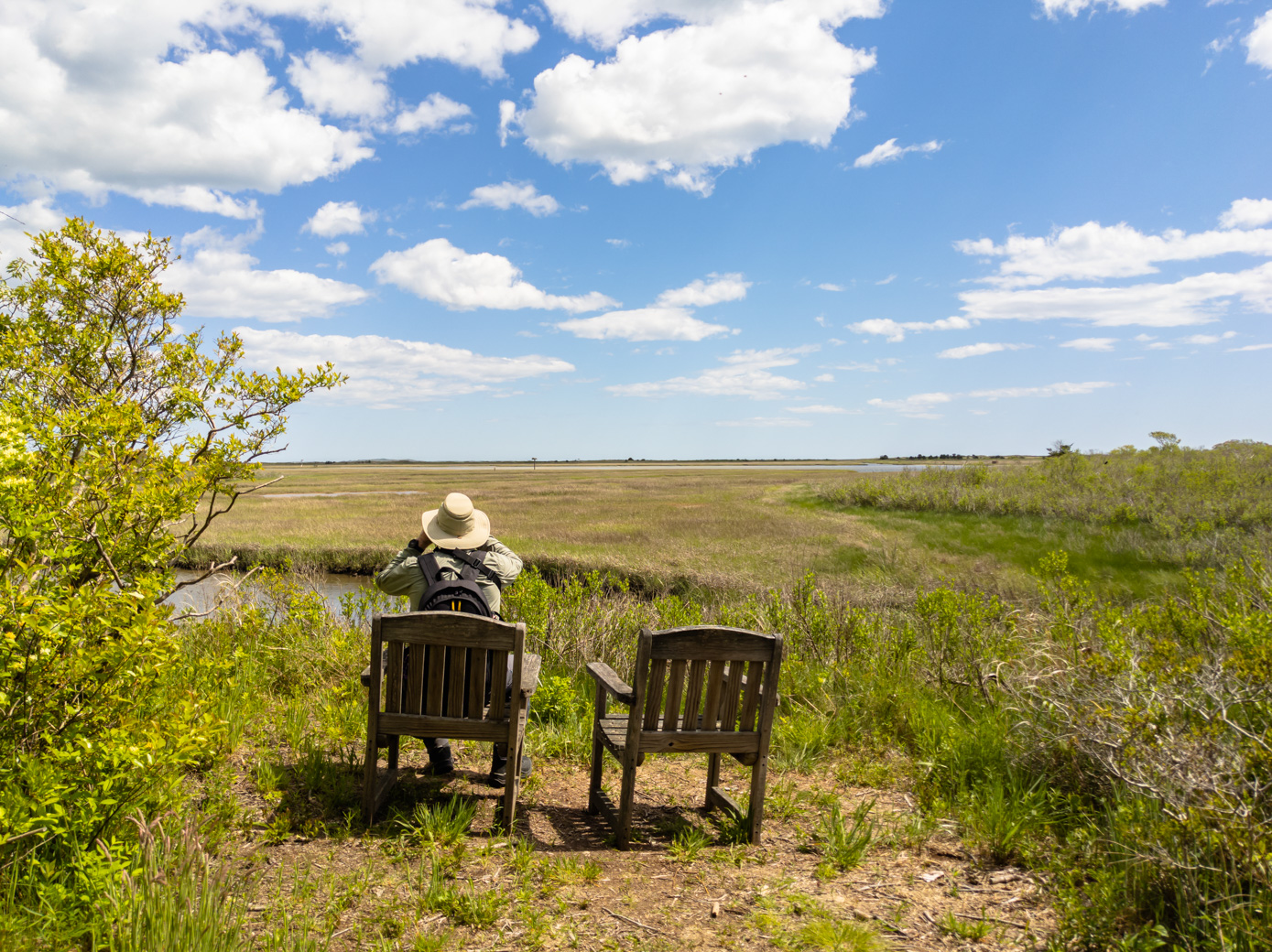 Paul looking for birds