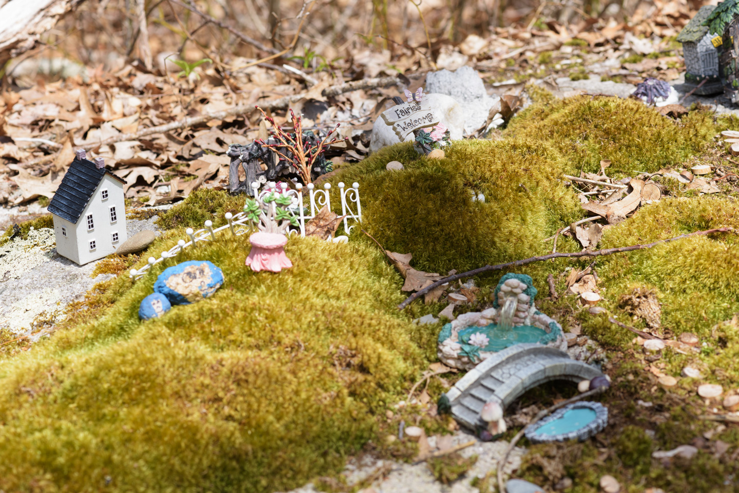 A fairy house neighborhood