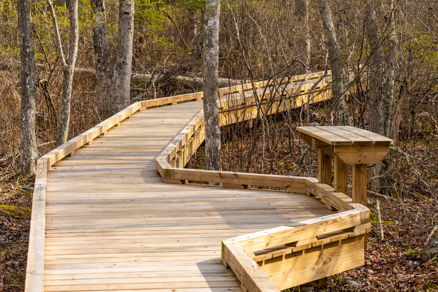 The boardwalk in the Osprey Marsh Preserve