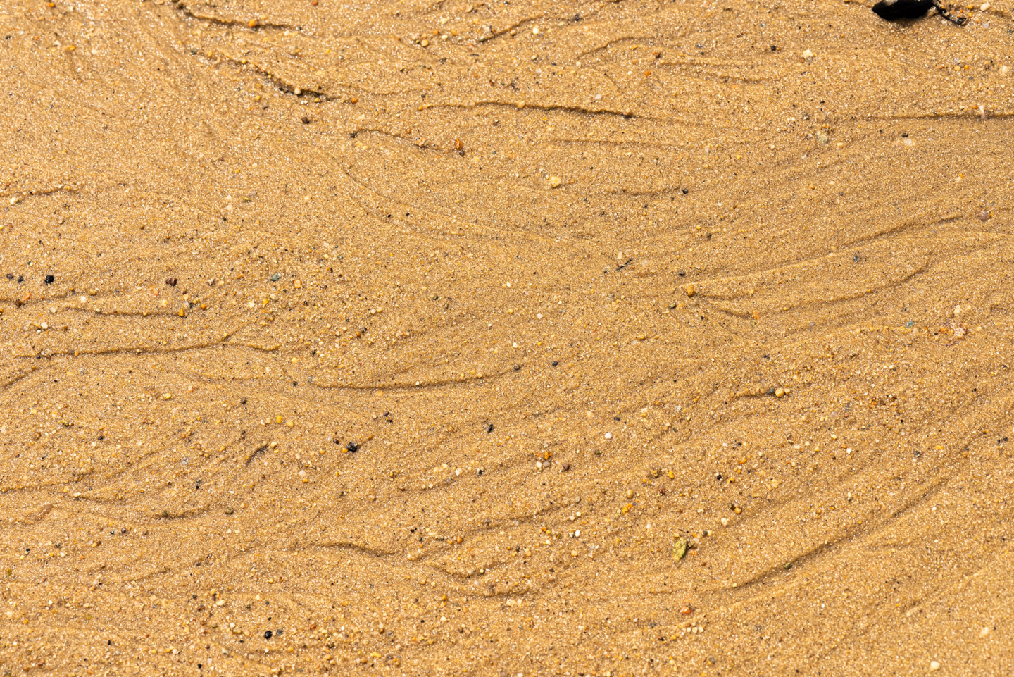 Water trails in beach sand