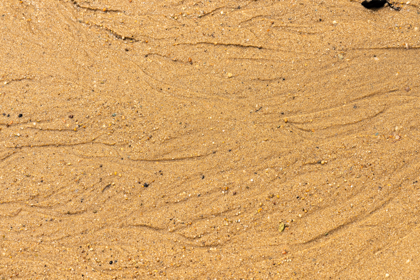 Water trails in beach sand