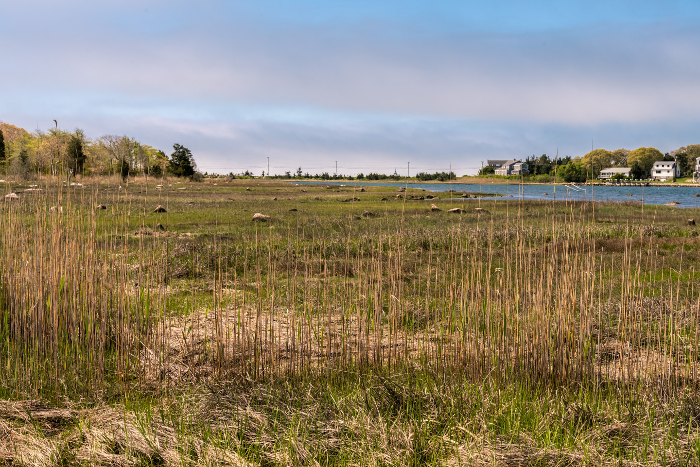 view of Howland Marsh from the end of the preserve walkway