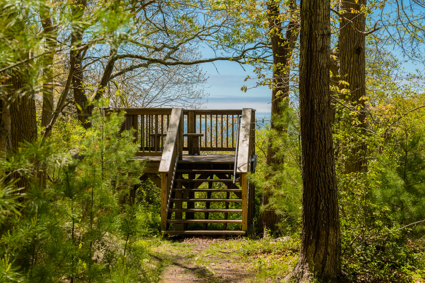 Observation deck at Peirson Woods Loop Trail