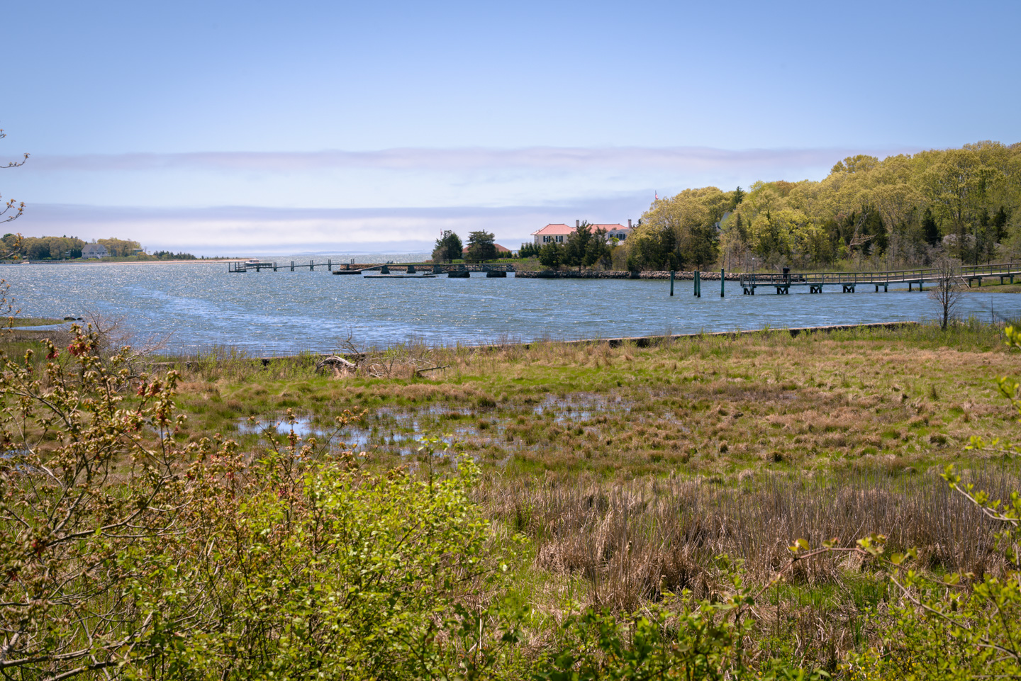 View from the observation deck of Peirson Woods