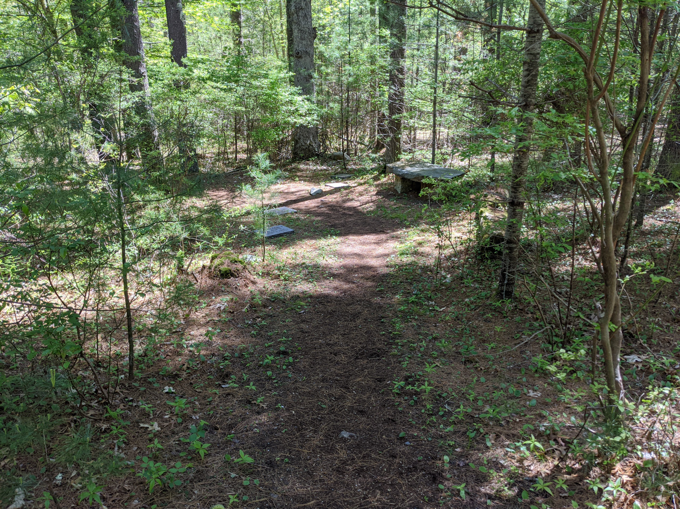 Path in the wooded cemetery in Marion