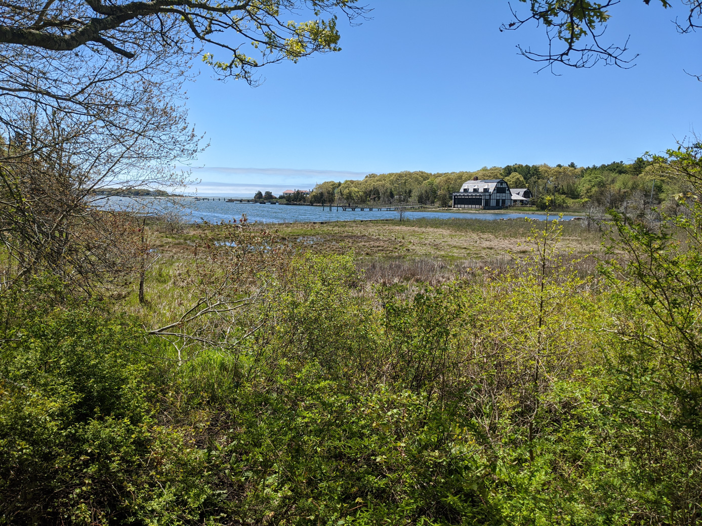 View of the Boathouse from the observation deck of Peirson Woods