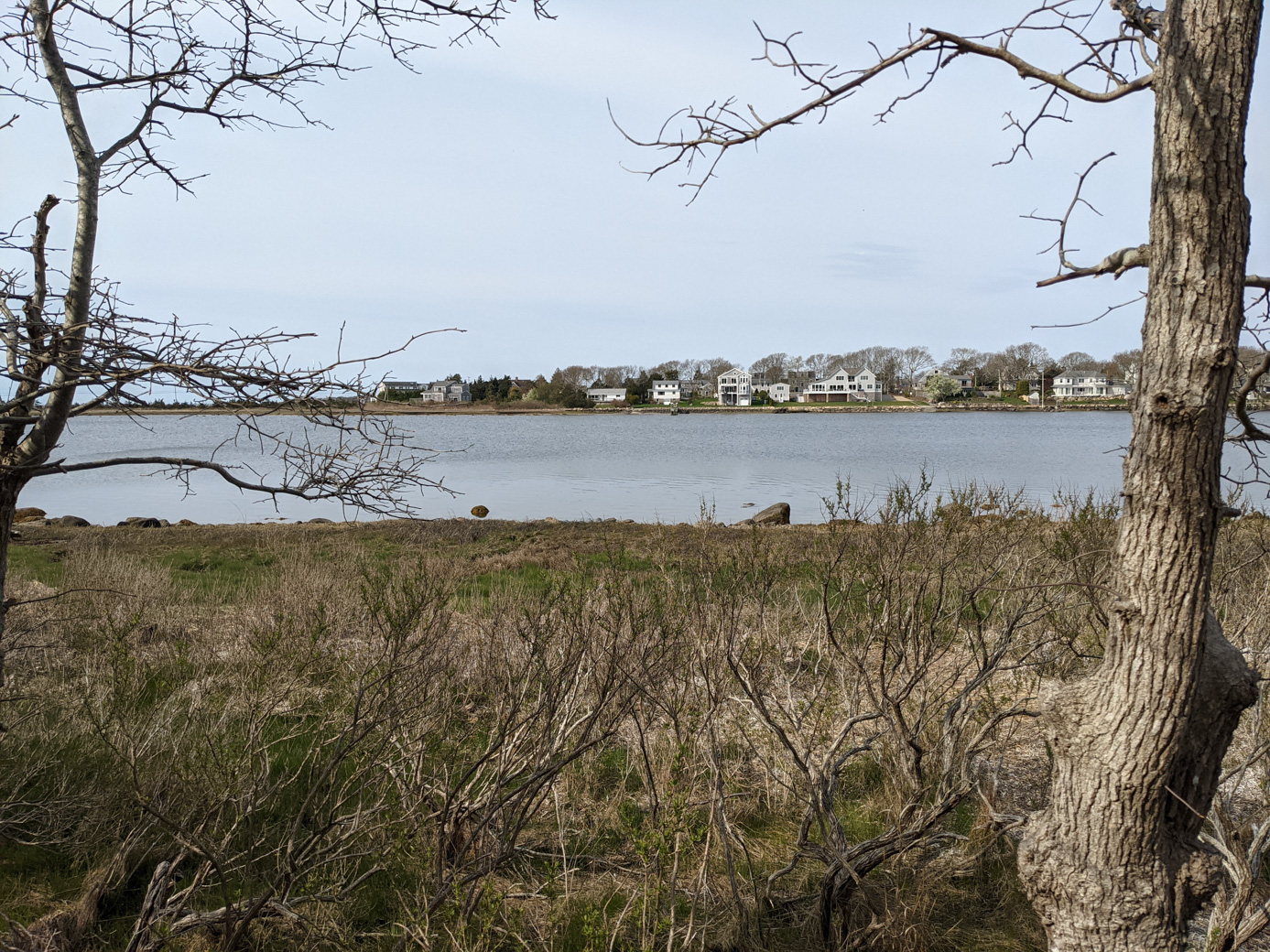 View from the observation deck of Osprey Marsh Preserve, which has a marshy area, then water, then Planting Island with houses along the shore.