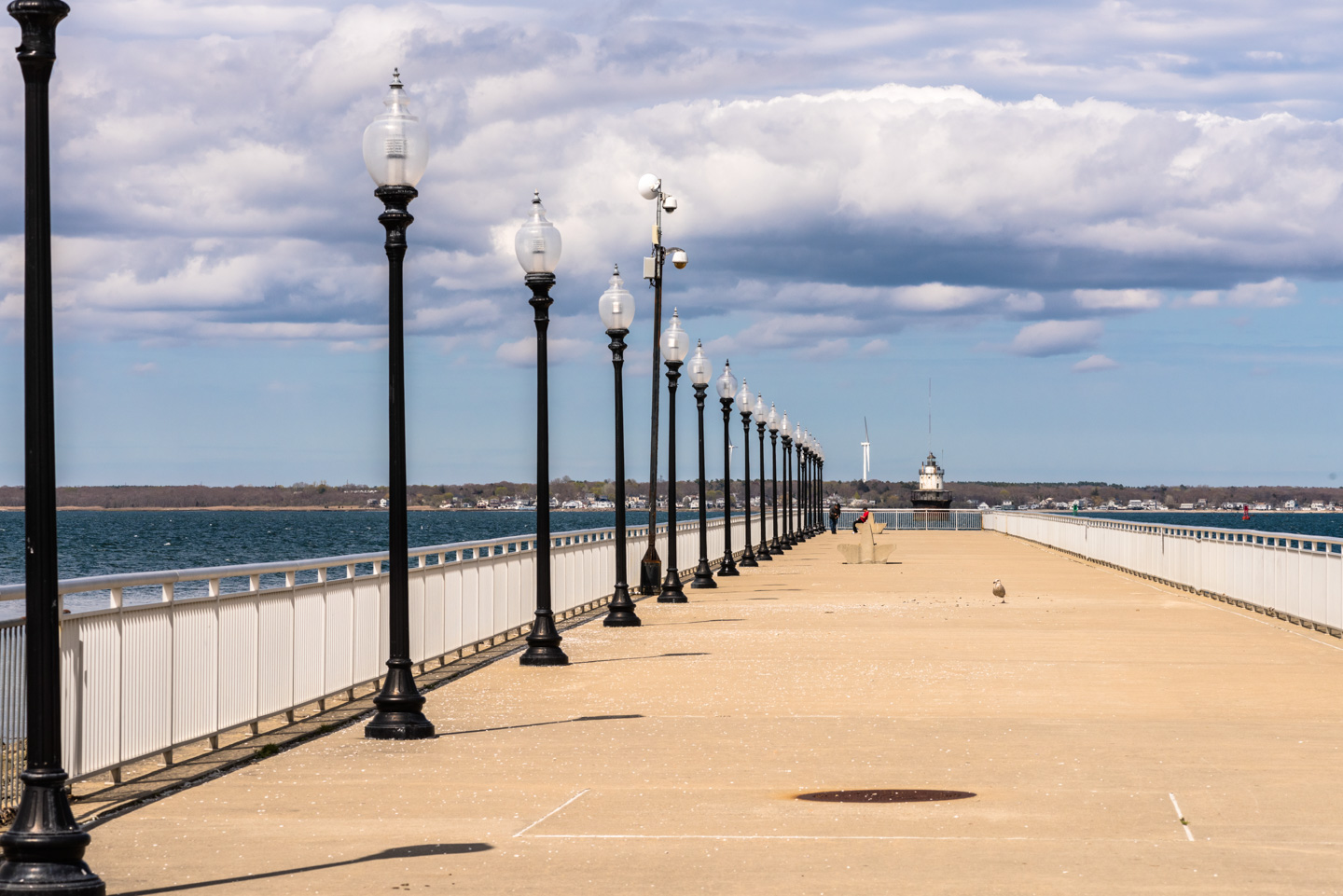 Pier leading to the water with a line of lights