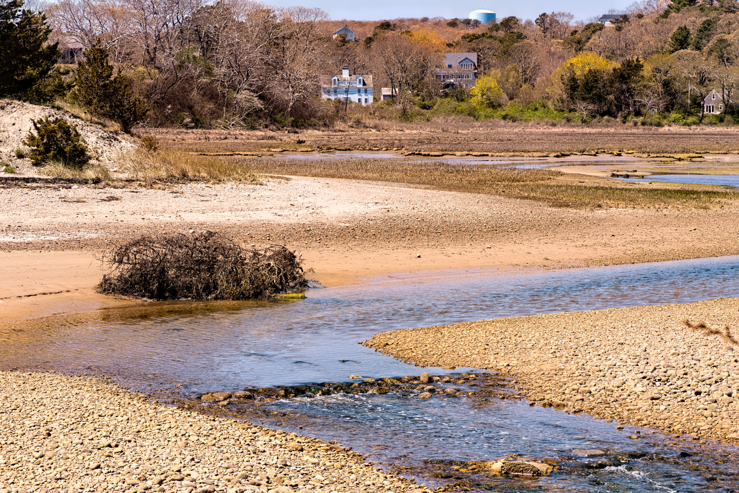 A rivulet going through the marsh