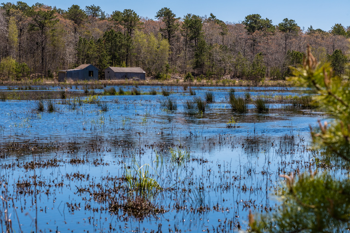 Abandoned cranberry bog and pump house