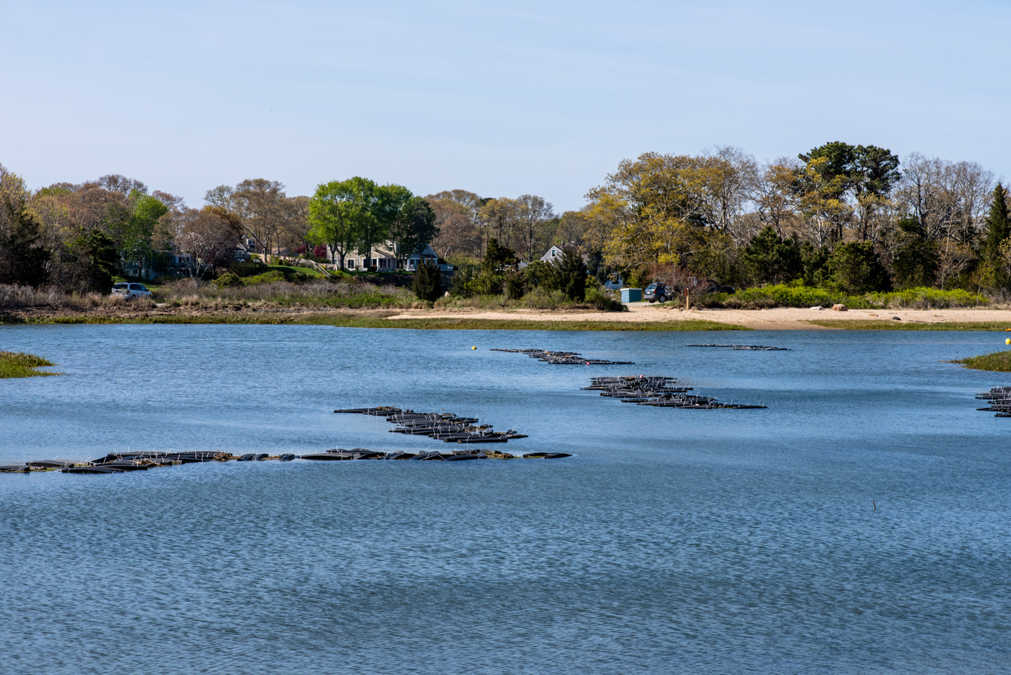 View from Little Bay over to Monk's Park