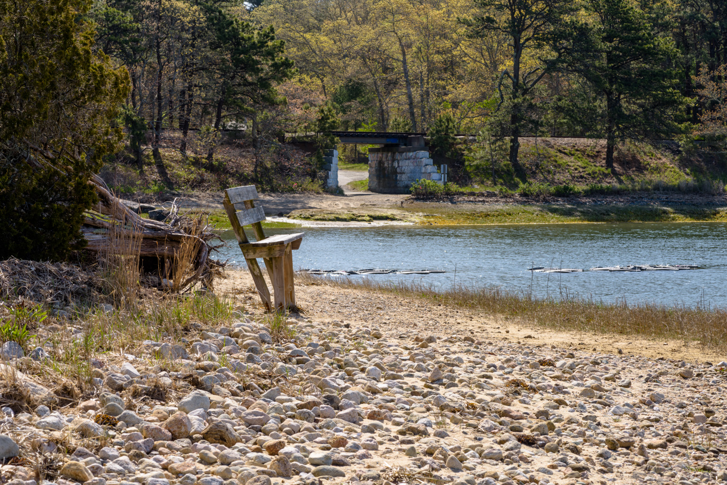 Bench with view of the access road