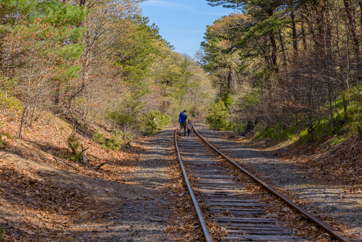 Railroad tracks with a family walking down them.