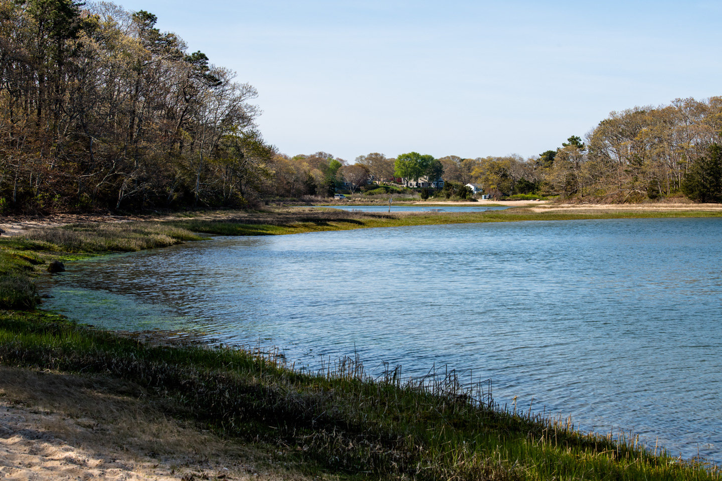 View along the coastline of Little Bay Conservation Area