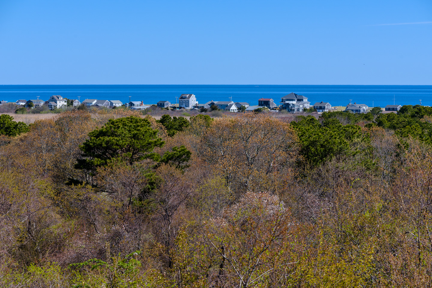 View from Sagamore Hill to Cape Cod Bay, with a row of houses near the water.