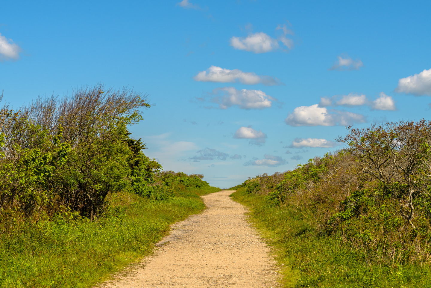 Path leading into Gooseberry Island