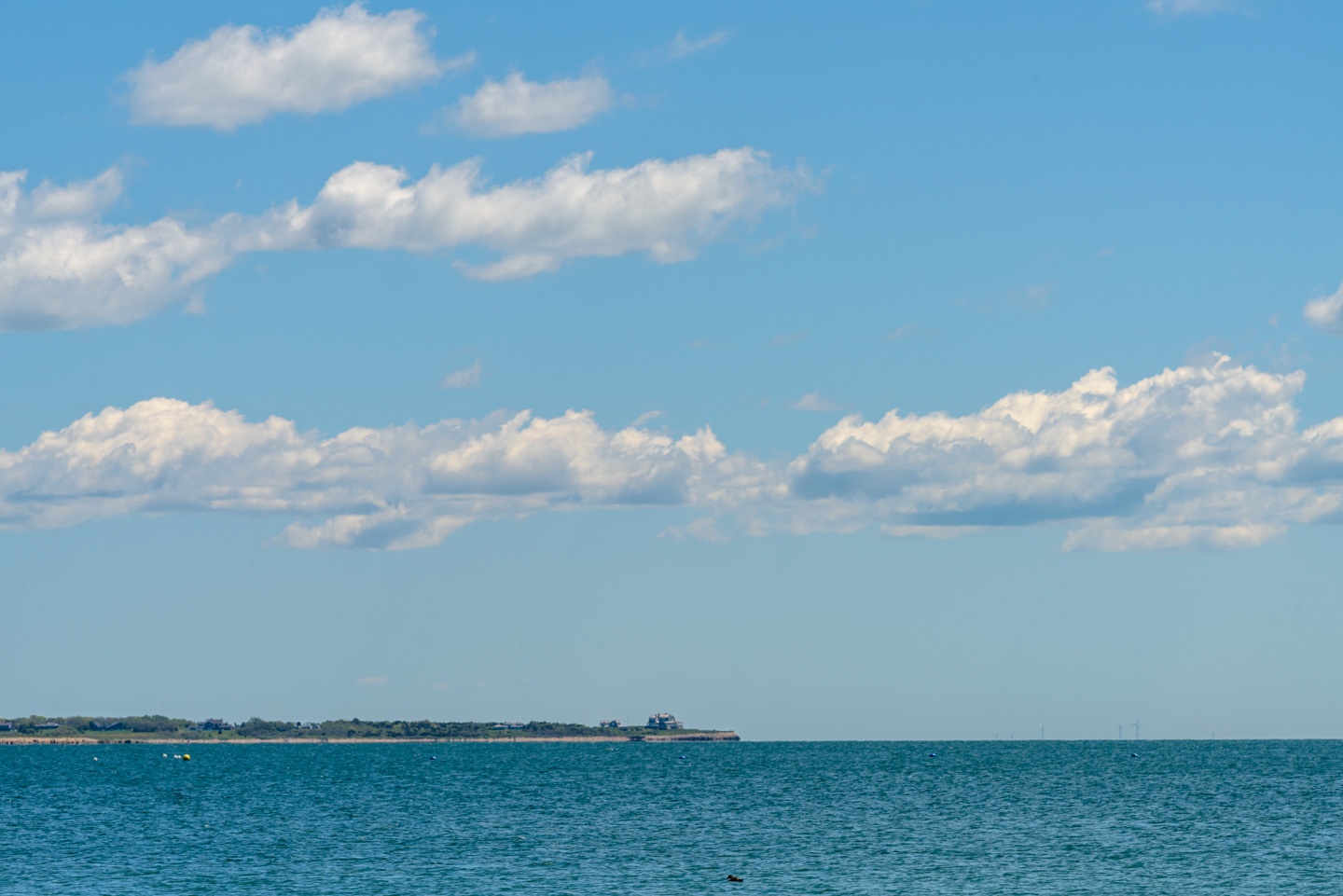 View across the water to Allens Pond Preserve in Dartmouth